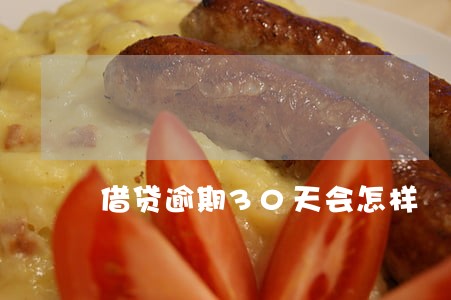 借贷逾期30天会怎样 借贷逾期30天会怎样