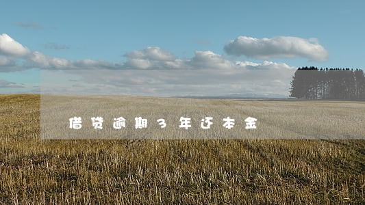 借贷逾期3年还本金 借贷逾期3年还本金