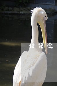 借贷逾期6天会有什么结果 借贷逾期6天会有什么结果