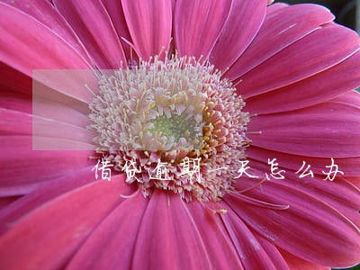 借贷逾期一天怎么办