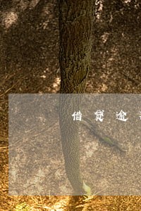 借贷逾期不超过1万元 借贷逾期不超过1万元