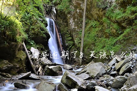 借贷逾期了8天该怎么处理 借贷逾期了8天该怎么处理