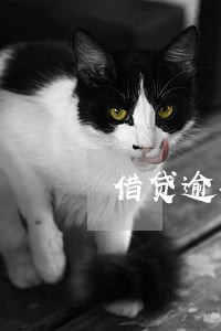 借贷逾期影响信用吗