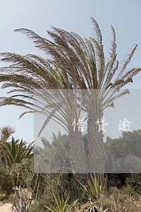 借贷逾期记录会影响信用卡