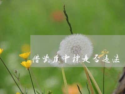 借资质中标是否违法 借资质中标是否违法