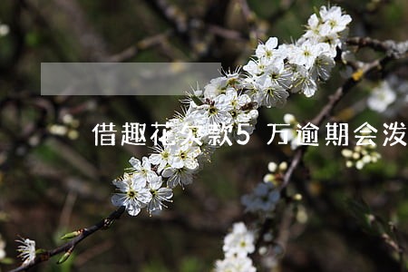 借趣花欠款5万逾期会泼油漆吗 借趣花欠款5万逾期会泼油漆吗
