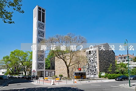 借趣花逾期20天没怎么打电话