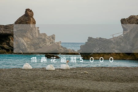 借趣花逾期5000 借趣花逾期5000