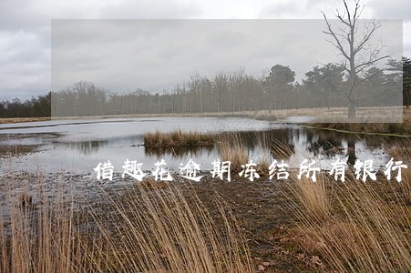 借趣花逾期冻结所有银行卡 借趣花逾期冻结所有银行卡