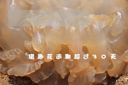 借趣花逾期超过30天 借趣花逾期超过30天