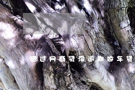 借过网商贷没逾期做车贷难吗 借过网商贷没逾期做车贷难吗