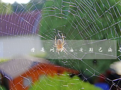 借过网贷无逾期已经还清征信 借过网贷无逾期已经还清征信
