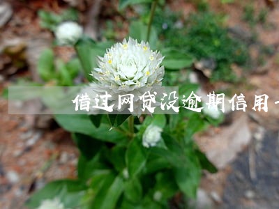 借过网贷没逾期信用卡 借过网贷没逾期信用卡