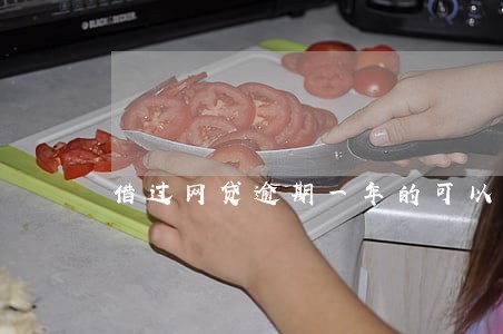 借过网贷逾期一年的可以供车吗 借过网贷逾期一年的可以供车吗