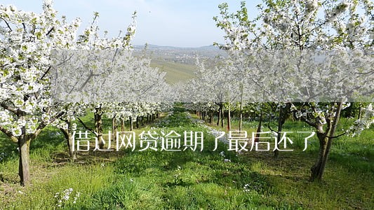 借过网贷逾期了最后还了 借过网贷逾期了最后还了