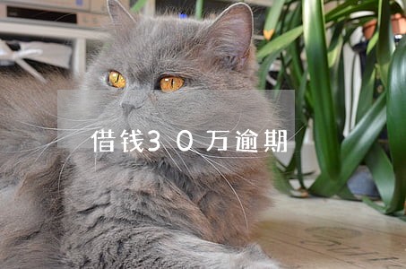 借钱30万逾期 借钱30万逾期