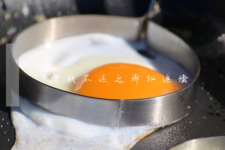借钱不还之诉讼追偿