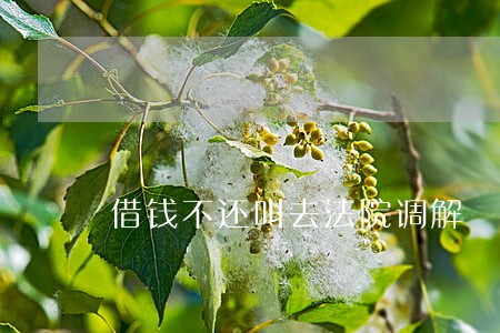 借钱不还叫去法院调解 借钱不还叫去法院调解