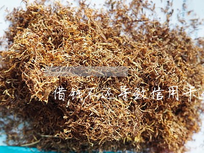 借钱不还导致信用卡逾期 借钱不还导致信用卡逾期
