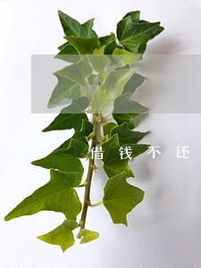 借钱不还法院判决2年后