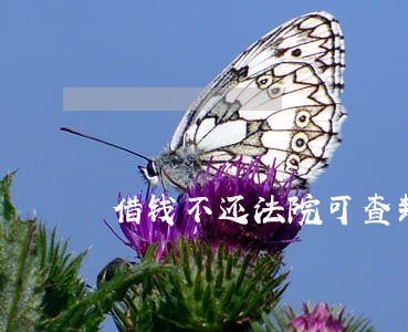 借钱不还法院可查封房产 借钱不还法院可查封房产
