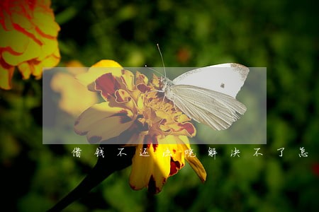 借钱不还法院解决不了怎么办 借钱不还法院解决不了怎么办