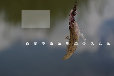 借钱不还法院起诉怎么执行