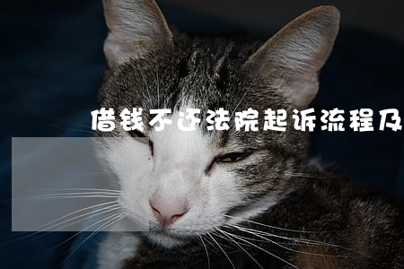 借钱不还法院起诉流程及费用