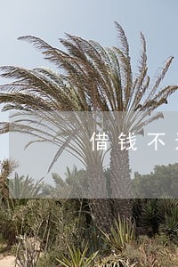借钱不还的法律咨询电话是多少 借钱不还的法律咨询电话是多少