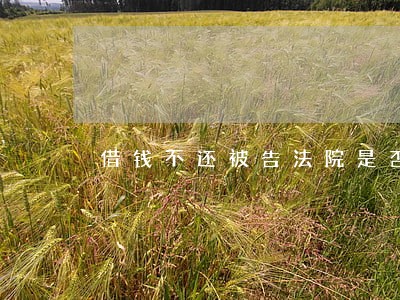 借钱不还被告法院是否会判刑 借钱不还被告法院是否会判刑