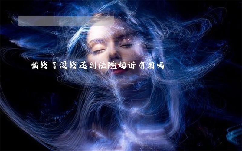 借钱了没钱还到法院起诉有用吗 借钱了没钱还到法院起诉有用吗