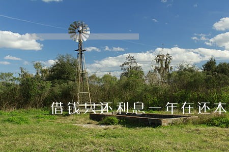 借钱只还利息一年在还本金