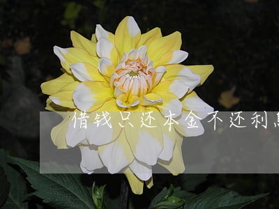 借钱只还本金不还利息可起诉吗 借钱只还本金不还利息可起诉吗
