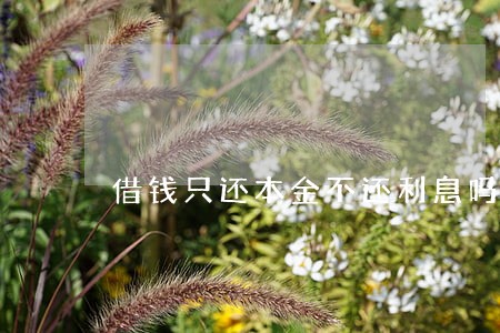借钱只还本金不还利息吗 借钱只还本金不还利息吗