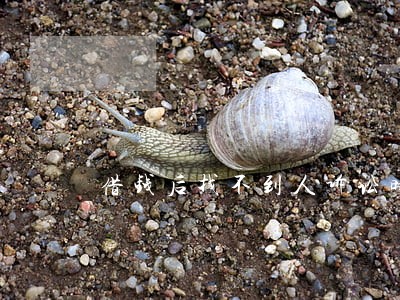 借钱后找不到人诉讼时效怎么算