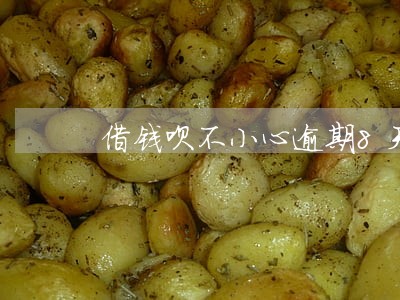 借钱呗不小心逾期8天 借钱呗不小心逾期8天