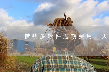 借钱多软件逾期费用一天90 借钱多软件逾期费用一天90