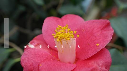 借钱宝逾期60天 借钱宝逾期60天