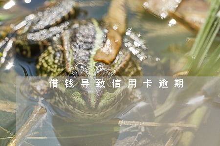借钱导致信用卡逾期 借钱导致信用卡逾期