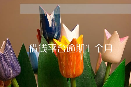 借钱平台逾期1个月 借钱平台逾期1个月