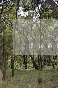 借钱微博逾期60 借钱微博逾期60
