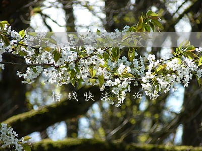 借钱快法律诉讼 借钱快法律诉讼