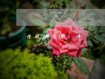 借钱快逾期1年 借钱快逾期1年
