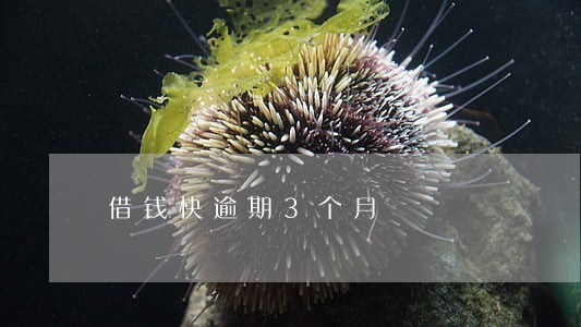 借钱快逾期3个月 借钱快逾期3个月