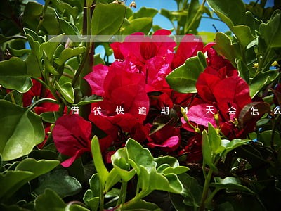 借钱快逾期4天会怎么样 借钱快逾期4天会怎么样