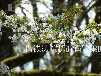 借钱法院起诉有效果吗 借钱法院起诉有效果吗