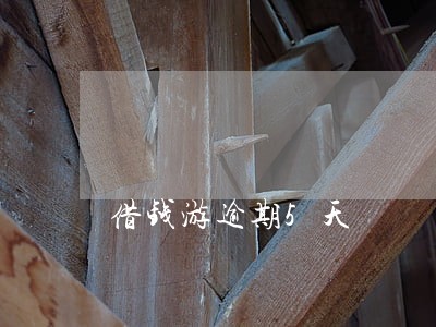 借钱游逾期5天