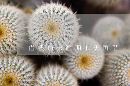 借钱白卡逾期1天再借 借钱白卡逾期1天再借