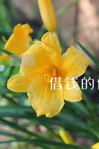 借钱的信用卡逾期会怎么样 借钱的信用卡逾期会怎么样