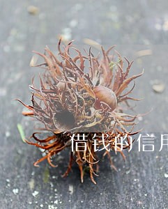 借钱的信用卡逾期怎么办
